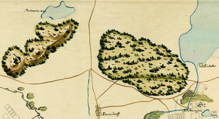 Malborskie lasy. Historia Malborka 1457 – 1772.