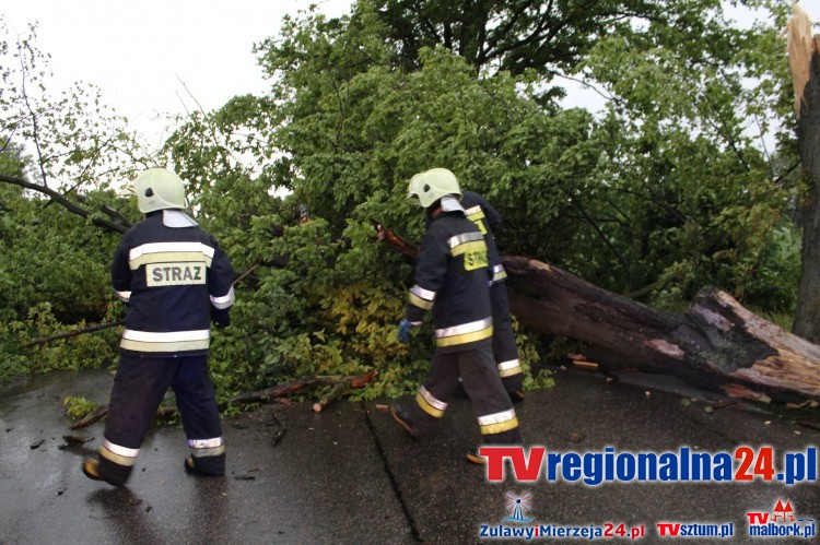Powiat sztumski. Gwałtowna burza połamała kilka drzew – 01.06.2016